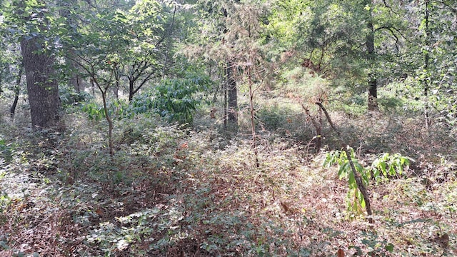 view of local wilderness