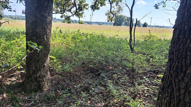 view of local wilderness featuring a rural view