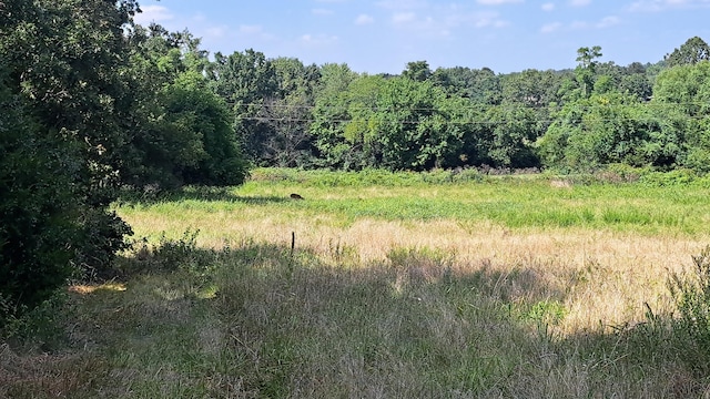 view of landscape