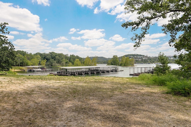 dock area featuring a water view