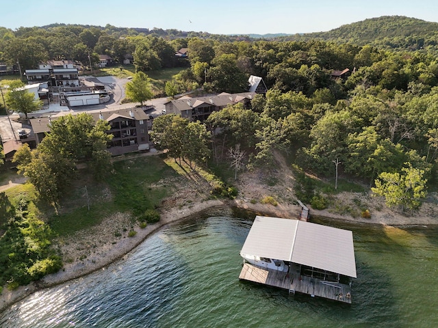 bird's eye view with a forest view and a water view