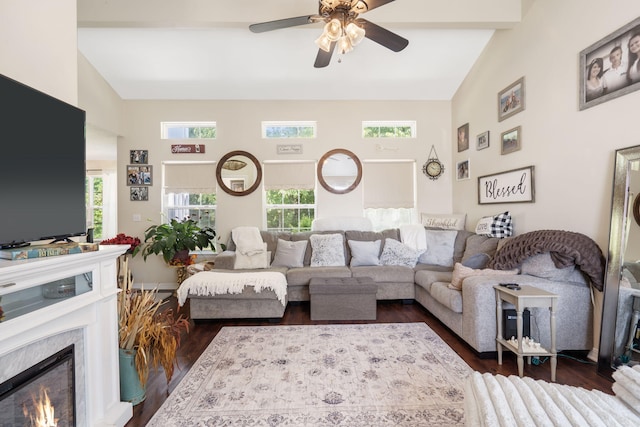 living room with a fireplace, dark hardwood / wood-style flooring, and a wealth of natural light