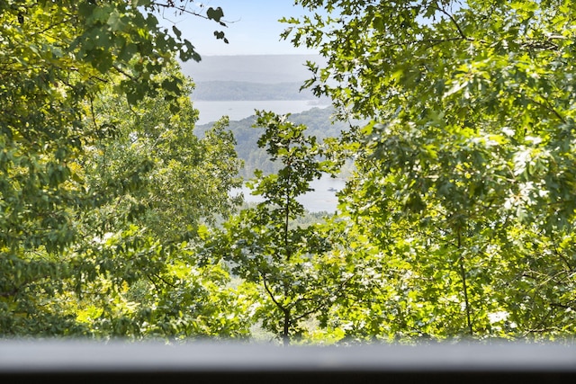52 Wildlife Trl, Branson, MO 65616 - photo 41
