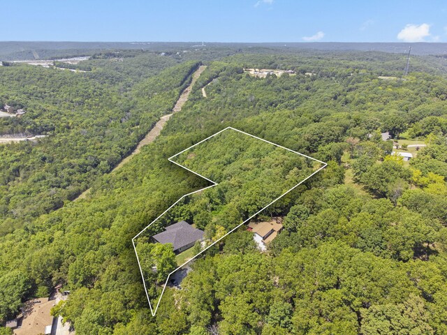 52 Wildlife Trl, Branson, MO 65616 - photo 66
