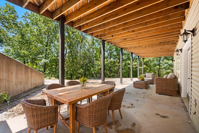 52 Wildlife Trl, Branson, MO 65616 - photo 59