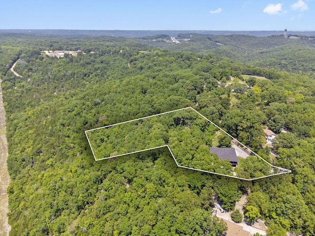 52 Wildlife Trl, Branson, MO 65616 - photo 3