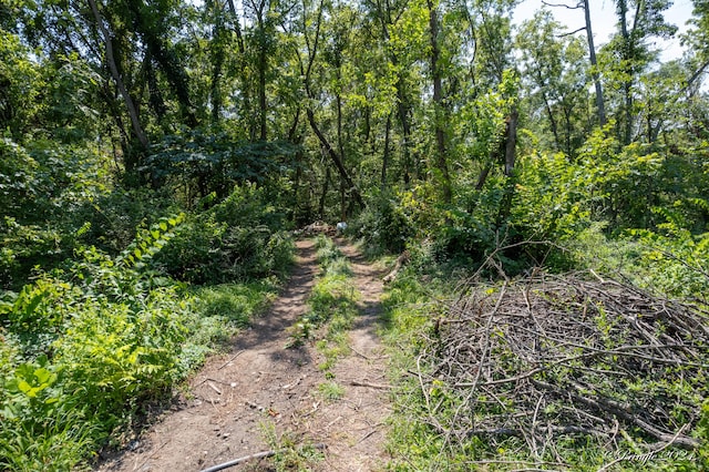 000 Thayer Ave, West Plains, MO 65775 - photo 6