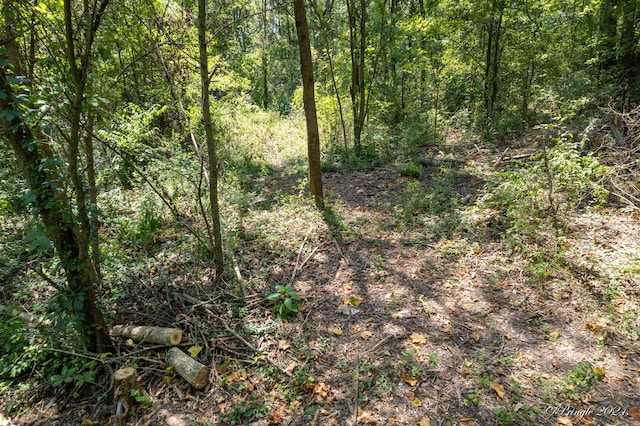 000 Thayer Ave, West Plains, MO 65775 - photo 8