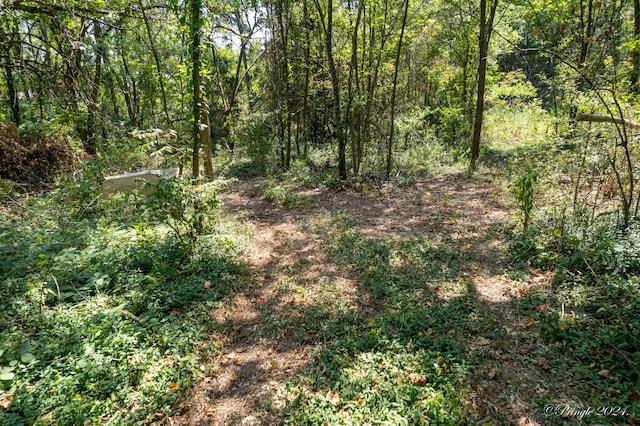 000 Thayer Ave, West Plains, MO 65775 - photo 7