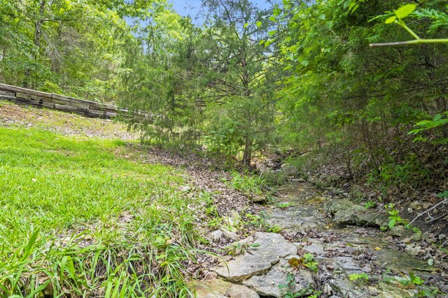 view of nature featuring a forest view