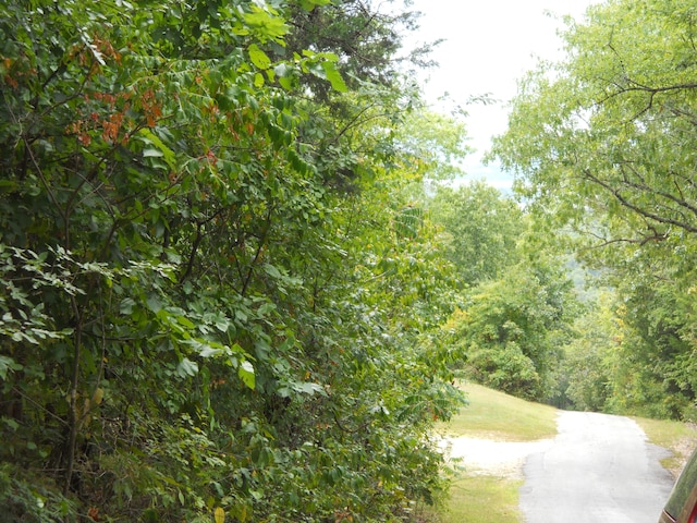 Listing photo 2 for 9A Blueberry Hill Ln, Branson West MO 65737