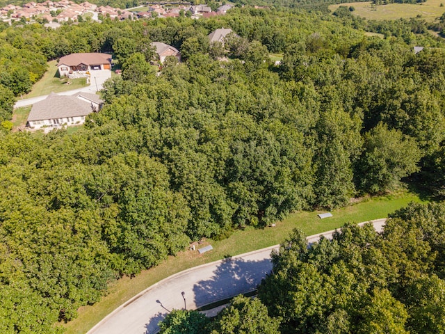 232 Woodhaven Cir, Hollister, MO 65672 - photo 1