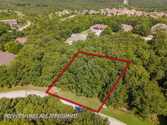232 Woodhaven Cir, Hollister, MO 65672 - photo 2