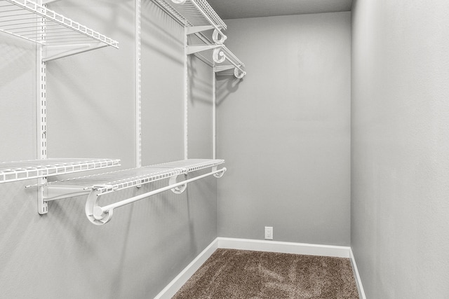 spacious closet with carpet floors