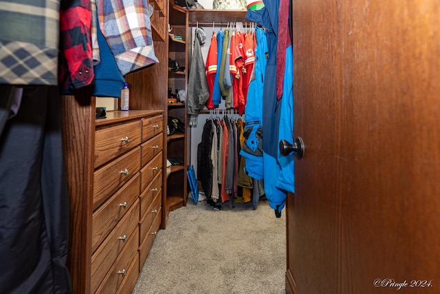 walk in closet with carpet flooring