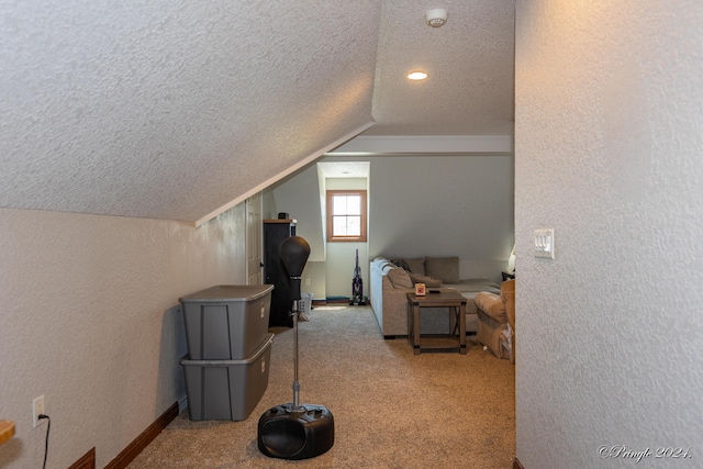 additional living space with lofted ceiling, a textured ceiling, and carpet