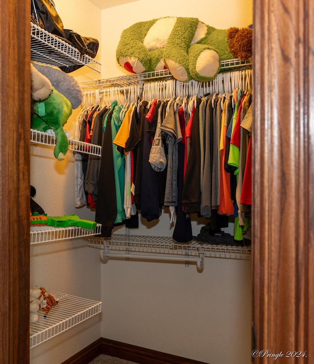 view of closet