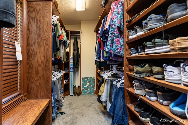spacious closet featuring carpet