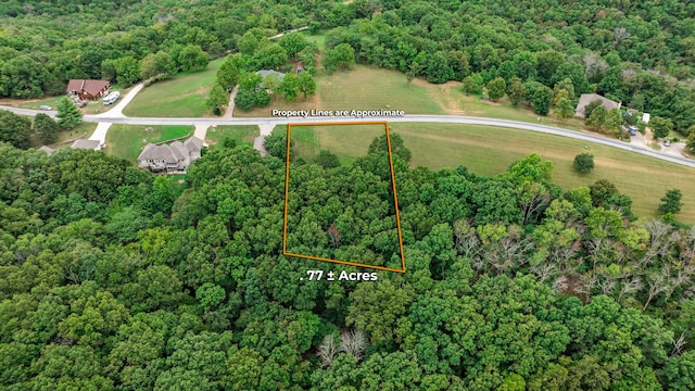 Listing photo 3 for LOT12 Mule Barn Dr, Cape Fair MO 65624