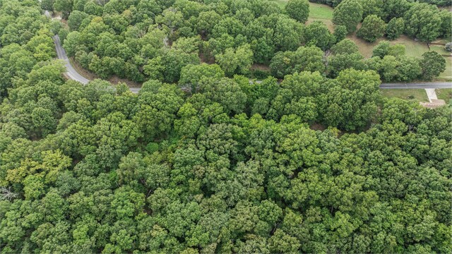 39 Mule Barn Dr, Cape Fair, MO 65624 - photo 13