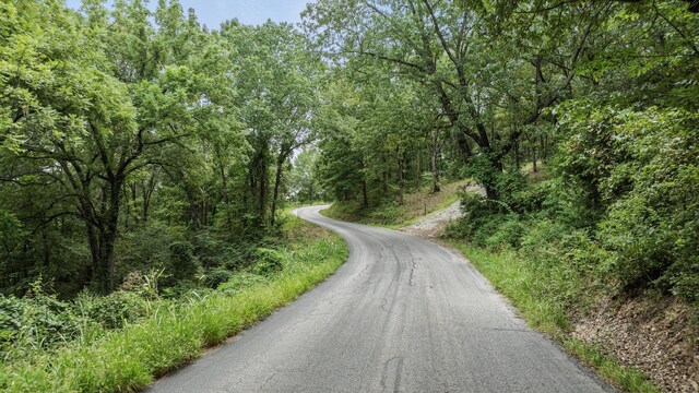39 Mule Barn Dr, Cape Fair, MO 65624 - photo 20