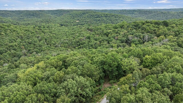 39 Mule Barn Dr, Cape Fair, MO 65624 - photo 18