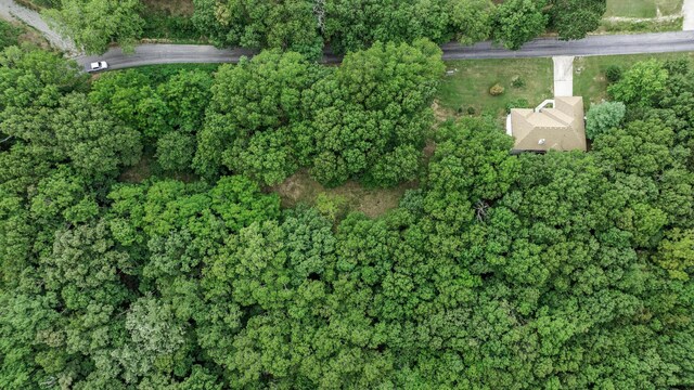 39 Mule Barn Dr, Cape Fair, MO 65624 - photo 27