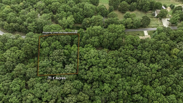39 Mule Barn Dr, Cape Fair, MO 65624 - photo 4