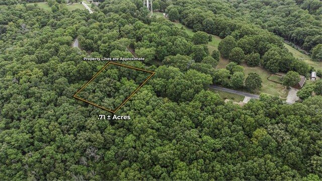 39 Mule Barn Dr, Cape Fair, MO 65624 - photo 6