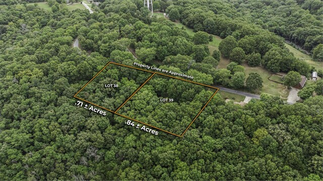 39 Mule Barn Dr, Cape Fair, MO 65624 - photo 8