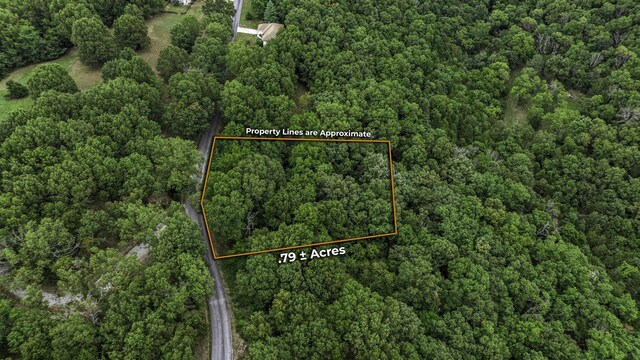 39 Mule Barn Dr, Cape Fair, MO 65624 - photo 2