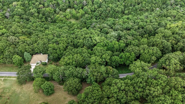 39 Mule Barn Dr, Cape Fair, MO 65624 - photo 24