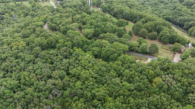 39 Mule Barn Dr, Cape Fair, MO 65624 - photo 14
