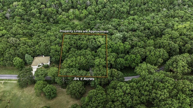 39 Mule Barn Dr, Cape Fair, MO 65624 - photo 23