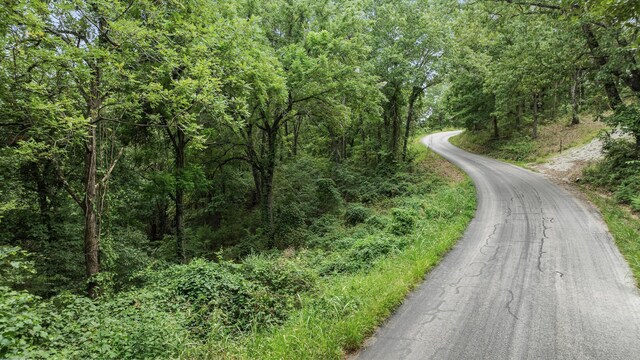 39 Mule Barn Dr, Cape Fair, MO 65624 - photo 33