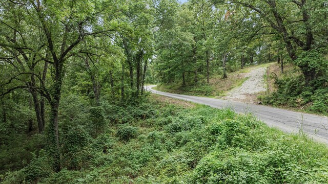39 Mule Barn Dr, Cape Fair, MO 65624 - photo 31