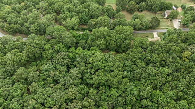 39 Mule Barn Dr, Cape Fair, MO 65624 - photo 11