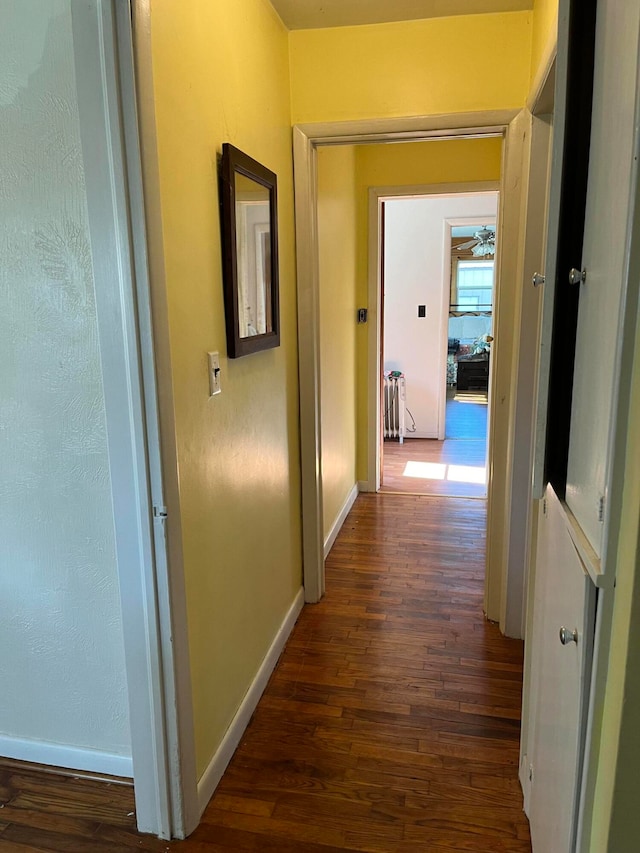 hallway featuring dark hardwood / wood-style flooring