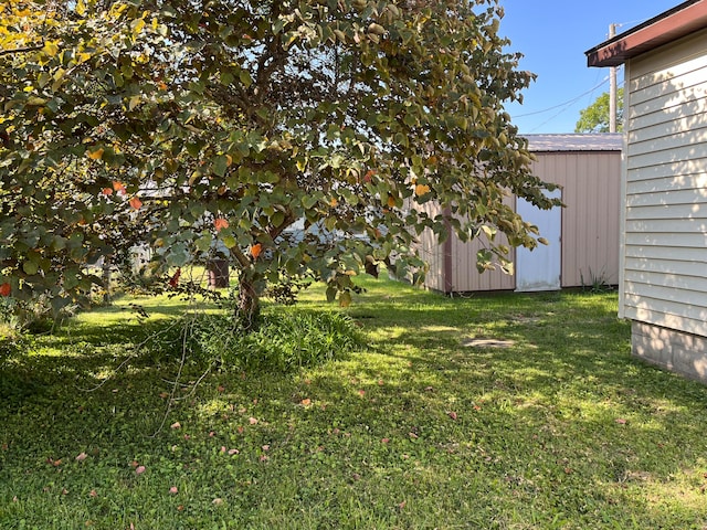 view of yard featuring a shed