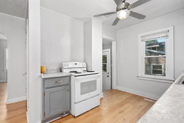 kitchen with light wood-type flooring, ceiling fan, crown molding, gray cabinets, and electric range