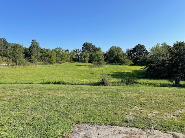 view of nature featuring a rural view