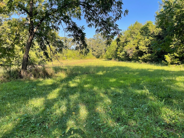 view of local wilderness