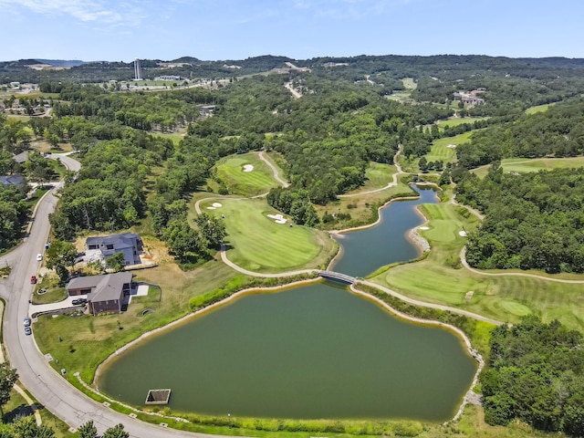 51 Royal Dornoch Dr, Branson, MO 65616