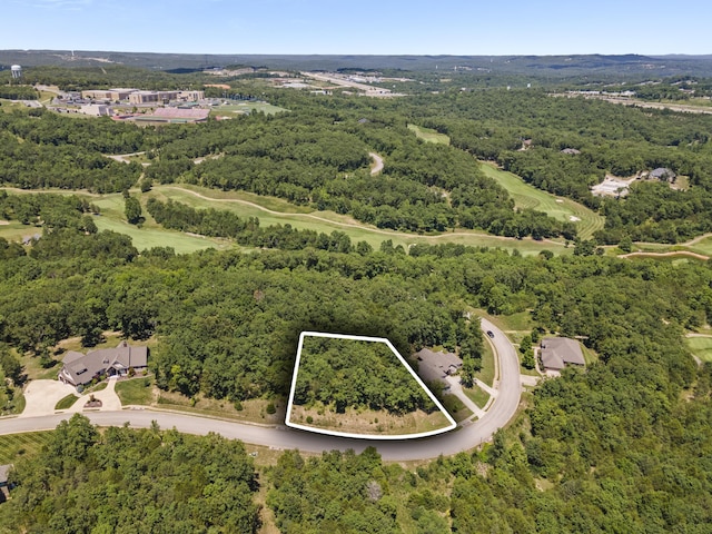 51 Royal Dornoch Dr, Branson, MO 65616
