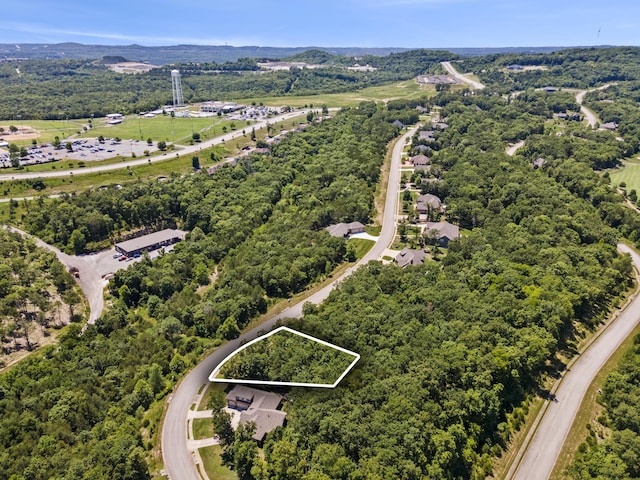 51 Royal Dornoch Dr, Branson, MO 65616