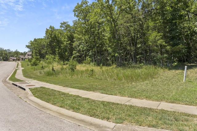 51 Royal Dornoch Dr, Branson, MO 65616