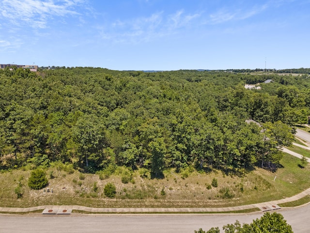 51 Royal Dornoch Dr, Branson, MO 65616