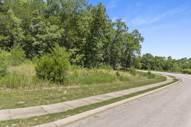 51 Royal Dornoch Dr, Branson, MO 65616