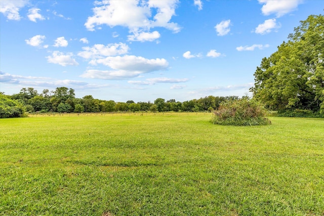 view of yard with a rural view