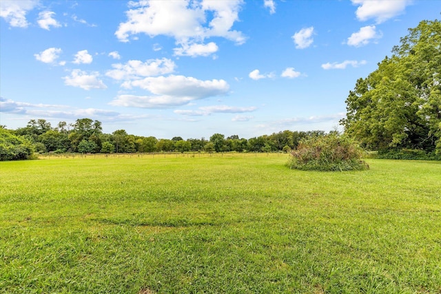 705 S Miller Rd, Springfield, MO 65802 - photo 33